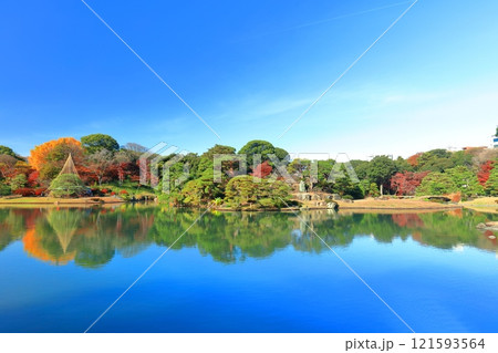 【東京都】快晴のシンメトリーな六義園の紅葉 【東京都】快晴のシンメトリーな六義園の紅葉 121593564