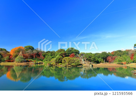 【東京都】快晴のシンメトリーな六義園の紅葉 【東京都】快晴のシンメトリーな六義園の紅葉 121593566