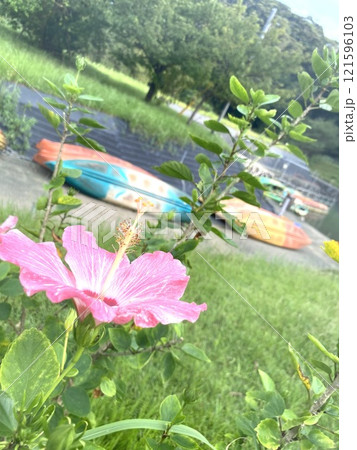 水辺に咲いたハイビスカスとカラフルなボート 121596103