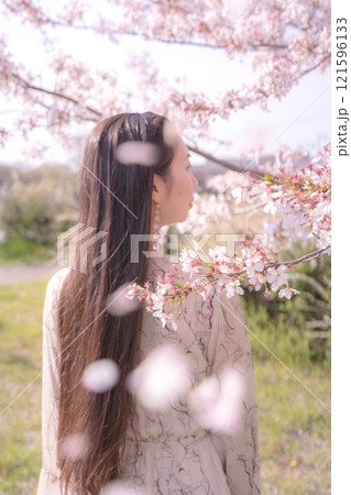 桜の木に囲まれた女性の後ろ姿 桜の木に囲まれた女性の後ろ姿 121596133