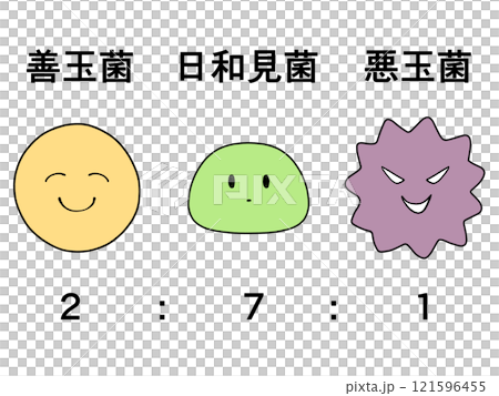 腸内細菌は善玉菌:日和見菌:悪玉菌＝2:7:1が理想的のイラスト素材