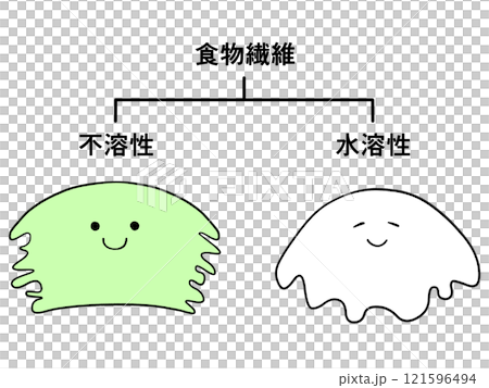 イラスト 食物繊維は不溶性と水溶性に分けられる イラスト 食物繊維は不溶性と水溶性に分けられる 121596494