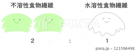 イラスト 不溶性食物繊維と水溶性食物繊維は2:1の割合で摂るのが理想的 イラスト 不溶性食物繊維と水溶性食物繊維は2:1の割合で摂るのが理想的 121596498
