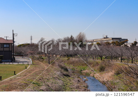 大堀川（千葉県柏市） 121596547