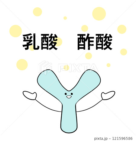 乳酸と酢酸を生成するビフィズス菌のイラスト 121596586