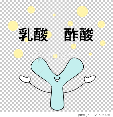 乳酸と酢酸を生成するビフィズス菌のイラスト 121596586