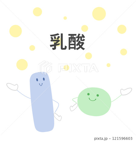 乳酸を生成する乳酸桿菌と乳酸球菌のイラスト 乳酸を生成する乳酸桿菌と乳酸球菌のイラスト 121596603