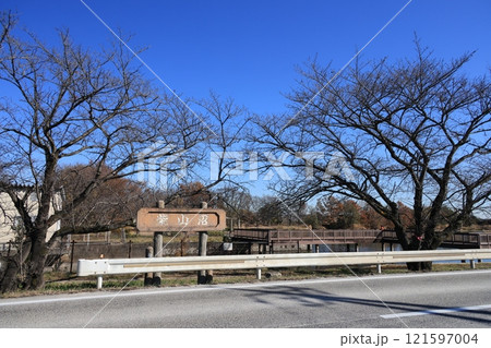 埼玉県白岡市の柴山沼の風景 121597004