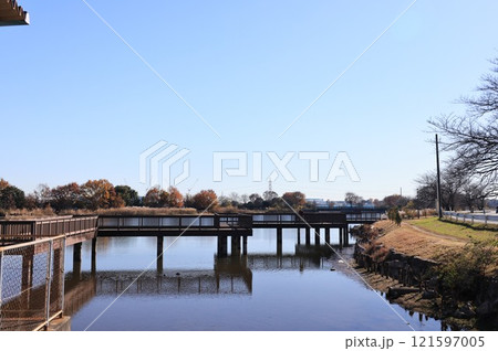 埼玉県白岡市の柴山沼の風景 121597005