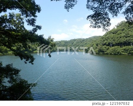 兵庫県神戸の山上のため池 兵庫県神戸の山上のため池 121597032