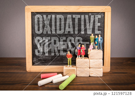 Oxidative Stress. Text on a chalkboard background 121597128