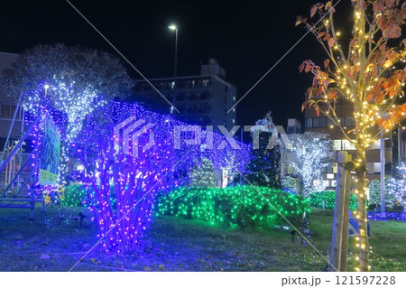JR東日本宇都宮線東大宮駅前のクリスマスイルミネーション JR東日本宇都宮線東大宮駅前のクリスマスイルミネーション 121597228