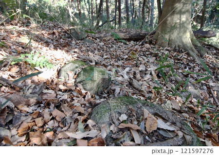 風化する鎌倉時代の墓石 121597276