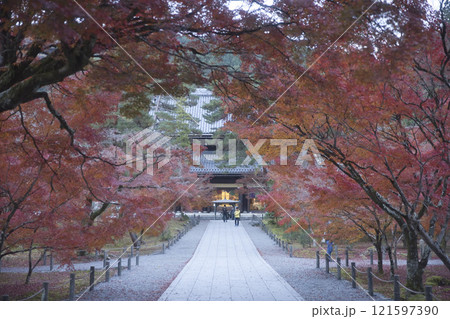 南禅寺 参道を彩る紅葉と法堂1 南禅寺 参道を彩る紅葉と法堂1 121597390