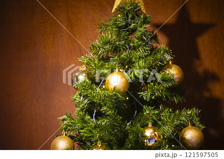 クリスマスホーリー クリスマス・ホーリー クリスマスツリー 121597505