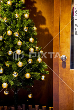 クリスマスホーリー クリスマス・ホーリー クリスマスツリー 121597507