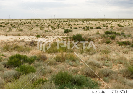 Desert landscape in Kazakhstan features vast shrubs and arid terrain under cloudy sky 121597532