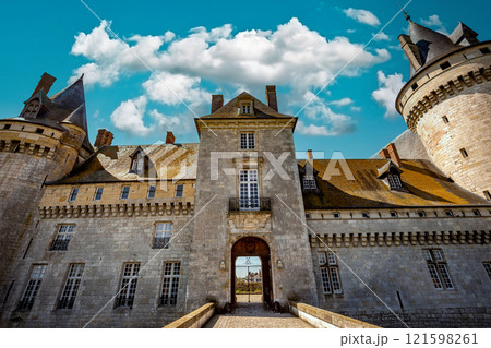 Castle of Sully sur loire near Orleans, Loire valley, France 121598261