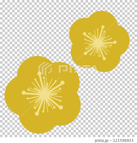 Yellow simple plum illustration 121598923