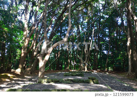 宗像大社　辺津宮　高宮祭場　神籬 121599073