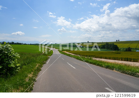 北海道美瑛の道 北海道美瑛の道 121599619