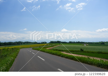 北海道美瑛の道 北海道美瑛の道 121599620