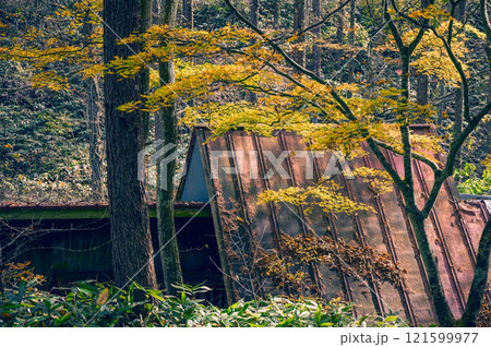 或る山奥の晩秋の風景 或る山奥の晩秋の風景 121599977