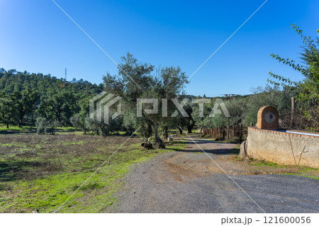 Rural Landscape with Path in Sierra de Aracena, Spain. 121600056