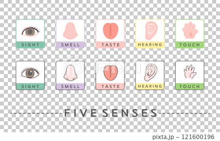 Five senses illustration icon: sight, smell, taste, hearing, touch 121600196