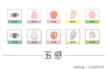 五感　イラスト　アイコン　視覚　嗅覚　味覚　聴覚　触覚 121600197