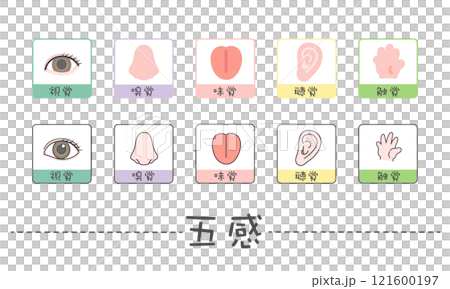 五感　イラスト　アイコン　視覚　嗅覚　味覚　聴覚　触覚 121600197