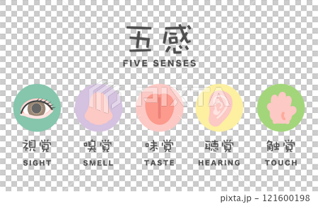 Five senses illustration icon: sight, smell, taste, hearing, touch Five senses illustration icon: sight, smell, taste, hearing, touch 121600198