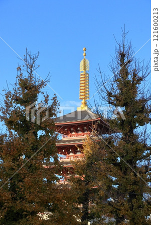 浅草寺の五重塔　東京の観光地 121600213