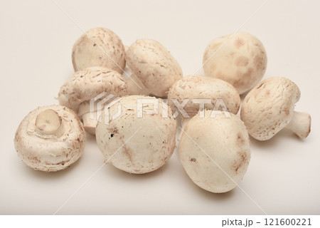 Fresh champignons on a white plate. Mushrooms on a white background. 121600221