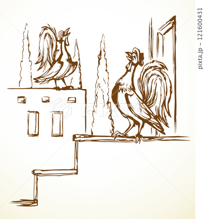 Vector drawing. Singing cock at morning Vector drawing. Singing cock at morning 121600431