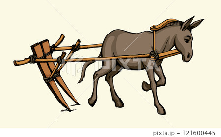 Vector drawing. Cute old mule 121600445