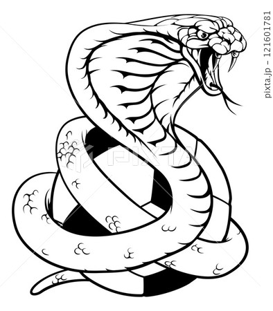 Cobra Snake Soccer Football Animal Team Mascot Cobra Snake Soccer Football Animal Team Mascot 121601781