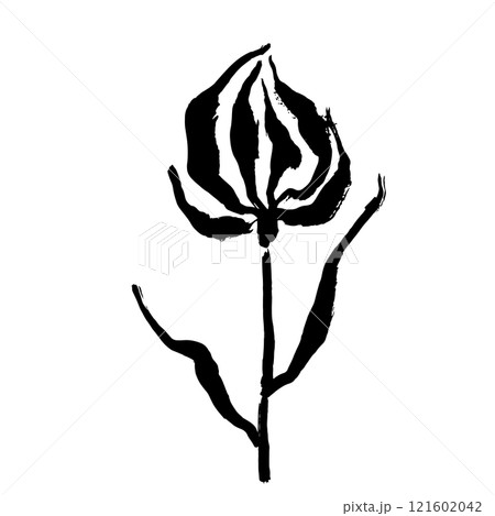 Grunge Dry Brush Ink Wild Flower 121602042