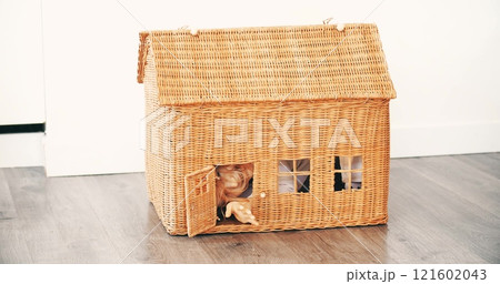 A happy little girl smiles and waves from a generic rustic doll house. Real estate related new home, small house or mortgage concepts 121602043