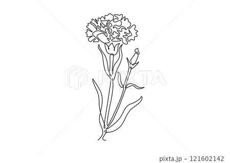 Continuous one line drawing of beauty fresh carnation for home wall art decor print poster. Decorative dianthus caryophyllus flower invitation card. Single line draw design vector graphic illustration 121602142