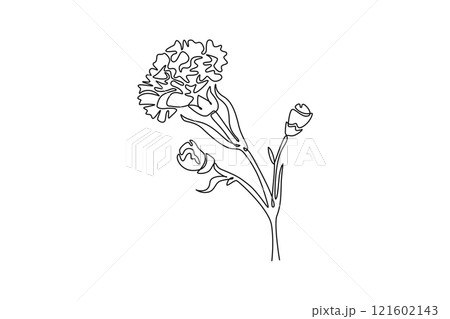 Continuous one line drawing beauty fresh carnation for home art wall decor poster. Printable decorative dianthus flower for greeting card ornament. Single line draw design vector graphic illustration 121602143