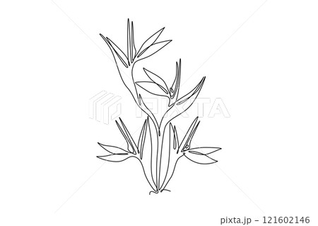 Continuous one line drawing beauty fresh strelitzia for garden logo. Decorative bird of paradise flower concept for home wall decoration art poster. Single line draw design vector graphic illustration Continuous one line drawing beauty fresh strelitzia for garden logo. Decorative bird of paradise flower concept for home wall decoration art poster. Single line draw design vector graphic illustration 121602146