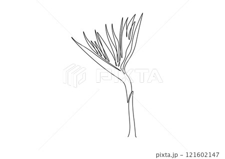 Single one line drawing beauty fresh strelitzia for home art wall decor poster print. Decorative bird of paradise flower concept for green park. Continuous line draw design graphic vector illustration 121602147