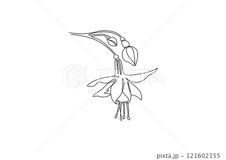 Single continuous line drawing of beauty fresh fuchsia flower for home decor wall art poster print. Decorative shrubs plant for floral invitation card. One line draw graphic design vector illustration 121602155