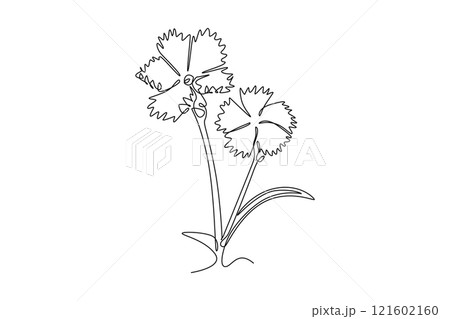 Single one line drawing of beauty fresh dianthus for home wall decor art poster print. Decorative carnation flower concept for green park icon. Continuous line draw design graphic vector illustration 121602160