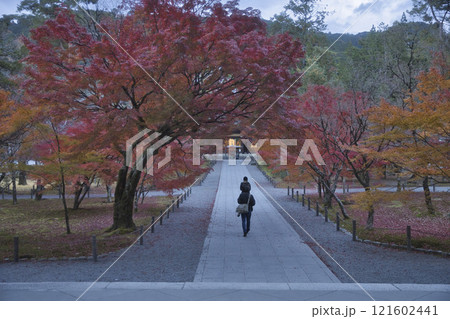 南禅寺　参道を彩る紅葉と法堂4 121602441