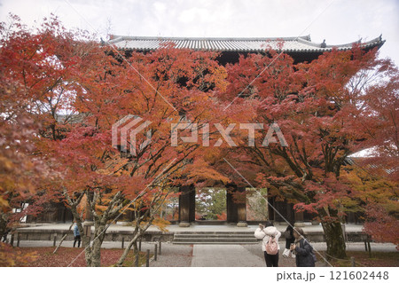 南禅寺 山門を望む境内の真っ赤なモミジ19 南禅寺 山門を望む境内の真っ赤なモミジ19 121602448