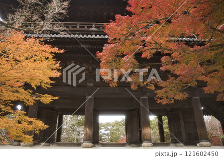 南禅寺 山門を望む境内の真っ赤なモミジ17 南禅寺 山門を望む境内の真っ赤なモミジ17 121602450