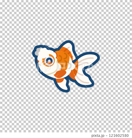 かわいい金魚（竜眼花房）のイラスト 121602580