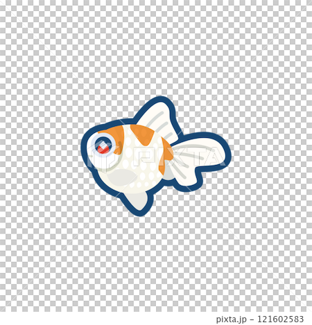 かわいい金魚(パールスケール)のイラスト かわいい金魚(パールスケール)のイラスト 121602583